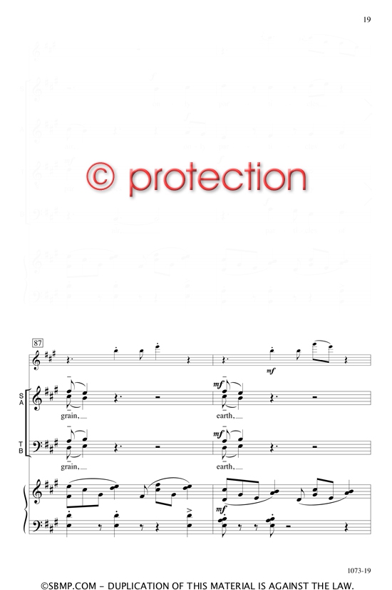 107317 107317